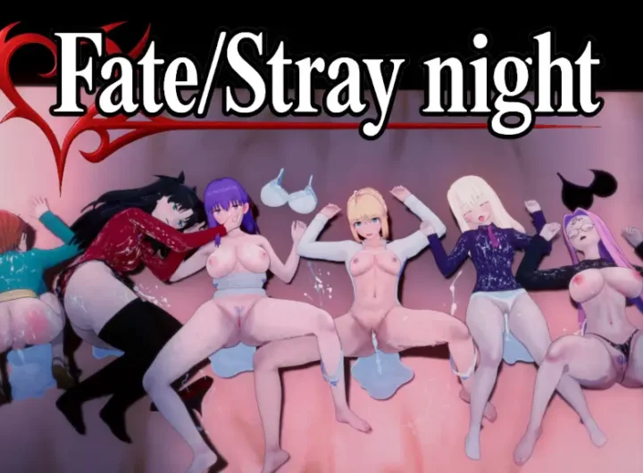 Fate/Stray Night Español